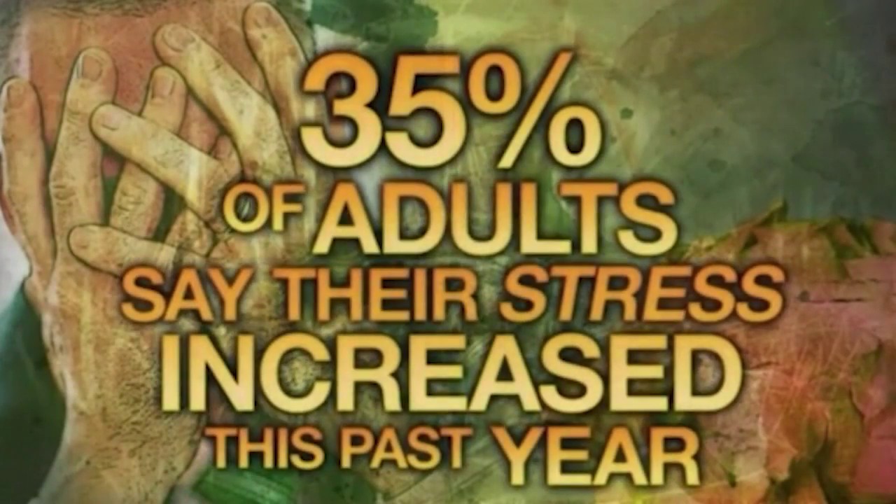 Dr. Adam Perlman on The Today Show about Stress Addiction