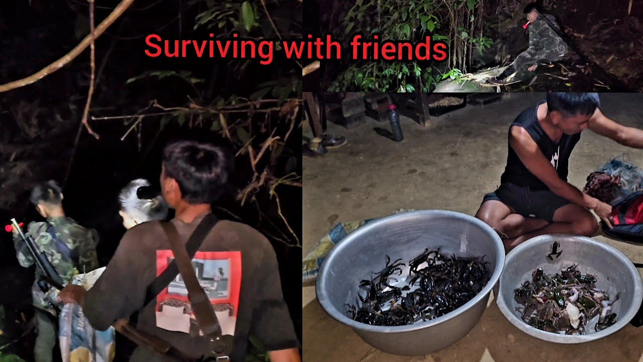 Catching frog & trapping shrimps with friends // peaceful and relaxing in nature 😌  @youngls
