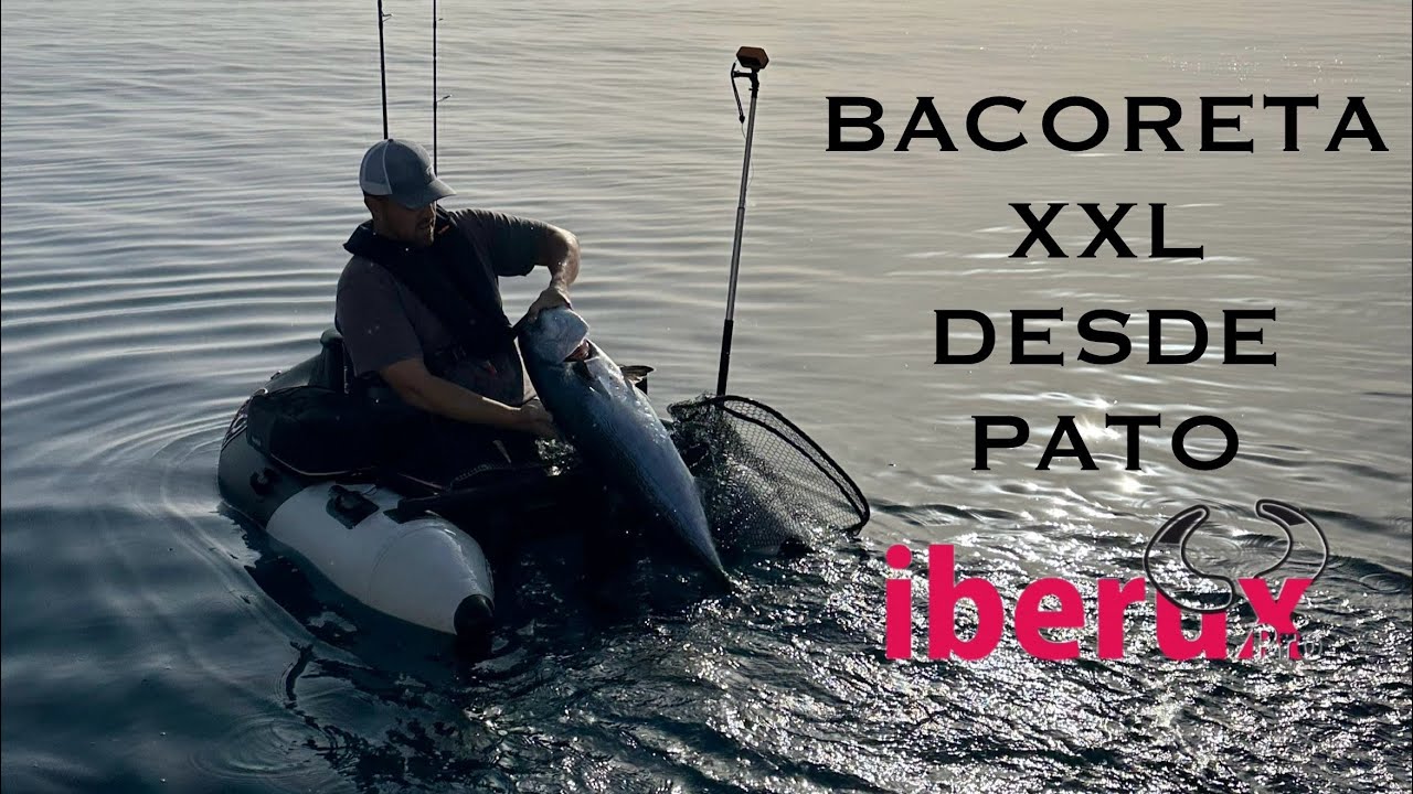 🐟BACORETA XXL DESDE PATO🦆