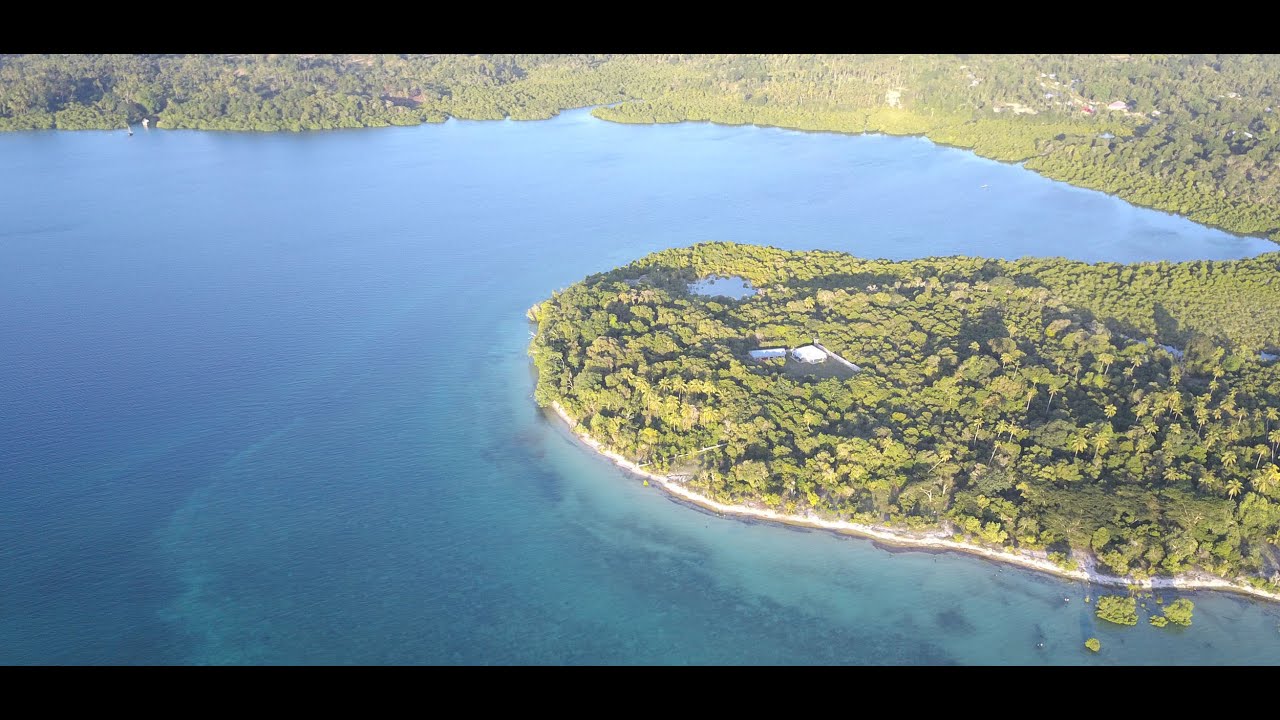 A Pemba Flight (2017)