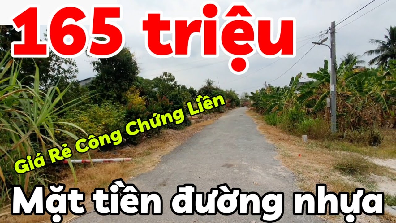 Đất giá rẻ 165 triệu đường nhựa thổ cư nhà cửa đông ở xã Phước Vinh Tây Ninh có 2 lô sổ hồng riêng
