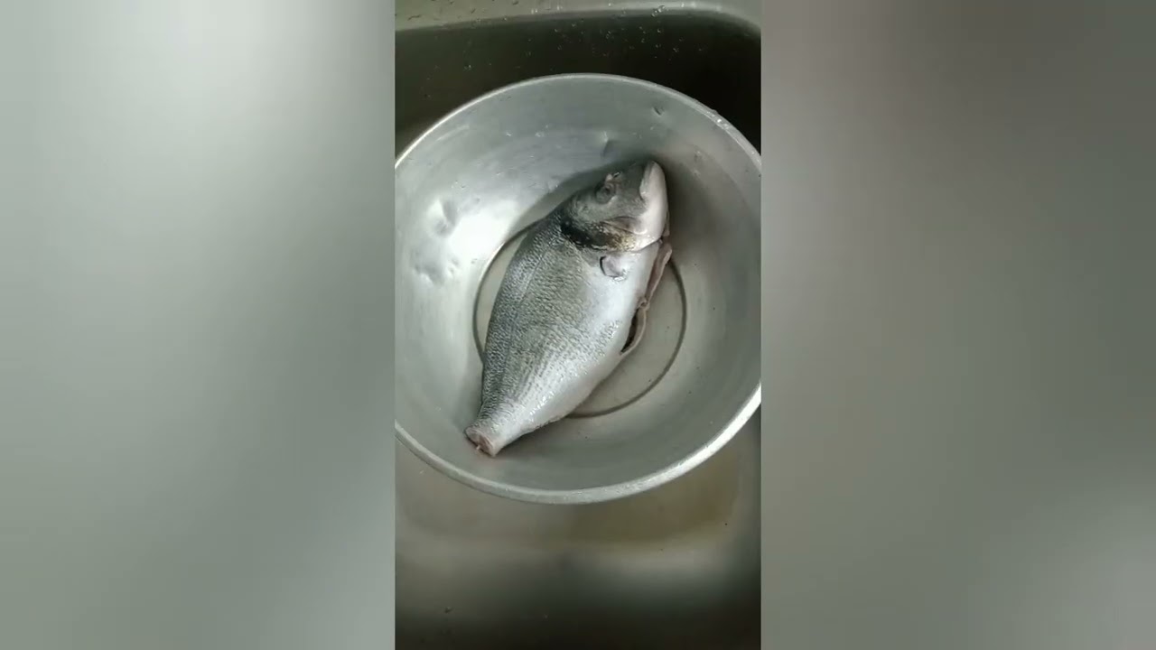 Seabream salsa 🥰😍😍