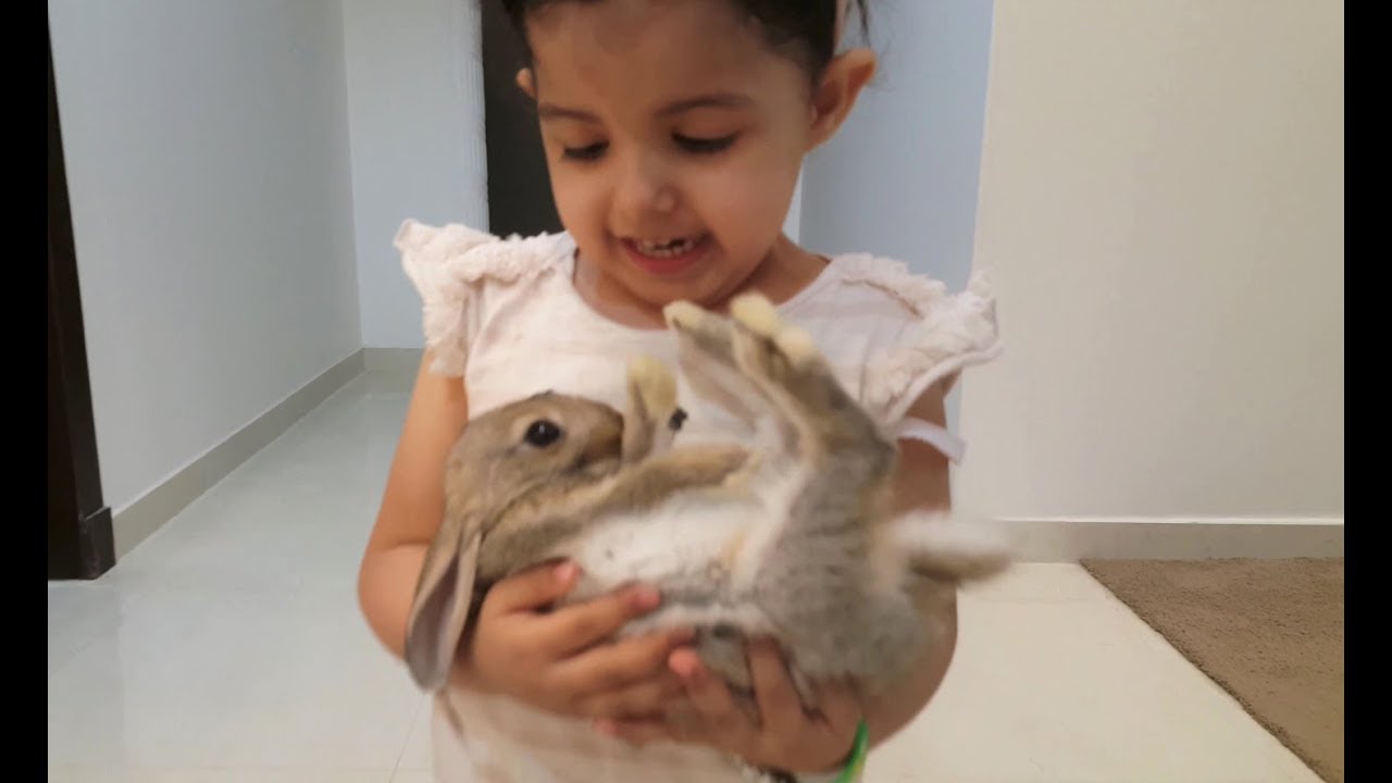 شرينا أرنب صغير | واميرة وميادة يربونهم