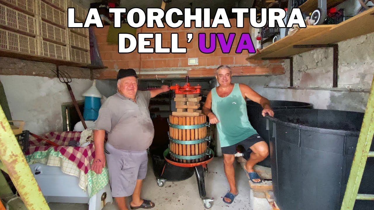 Come TORCHIAMO l’UVA e facciamo il PRIMO TRAVASO!