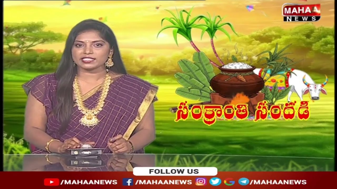 కాకినాడ పందెంలో ఒకటే పుంజు రికార్డు..! వరుసగా | Mahaa News