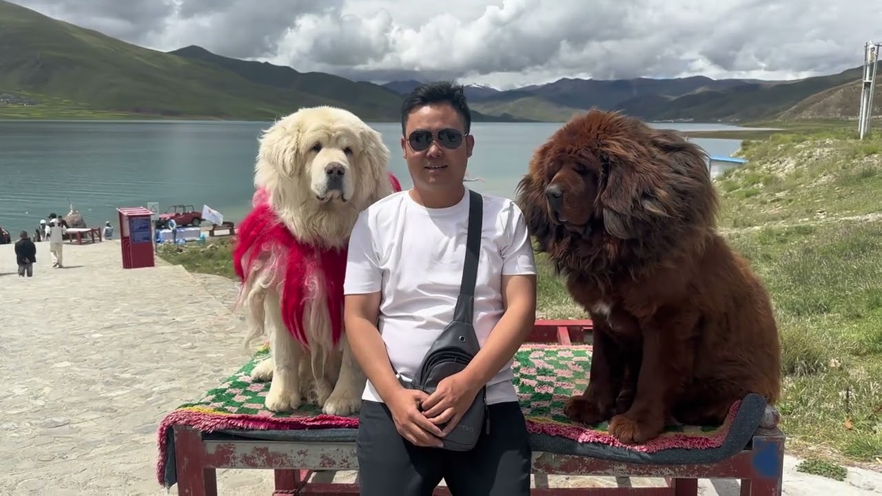 Day 13 – Pilgrimage at Dorje Drak Monastery|Yamdok Yuetsho lake and Druk Ralung. 🙏✨