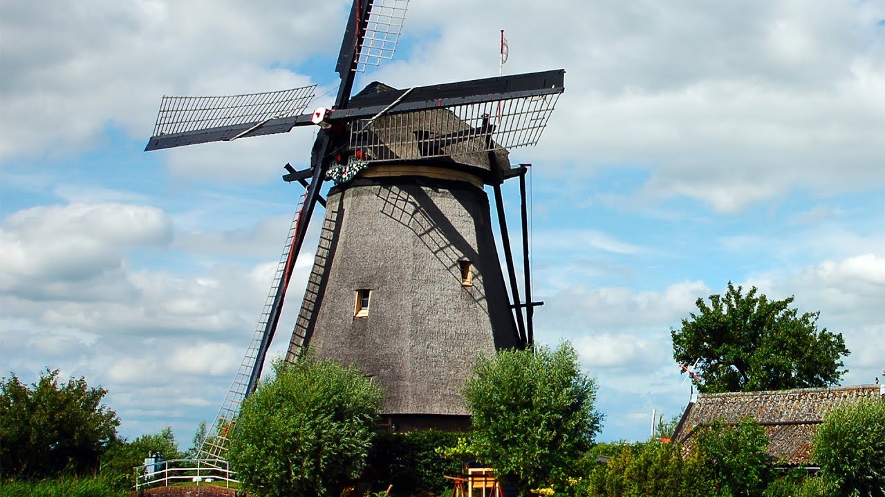 Windmill and Tulip Day Trip, Amsterdam