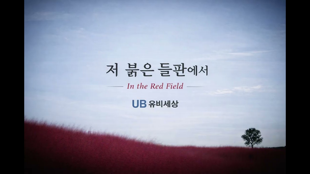 In the Red Field | Calm Evening Healing Indie Music