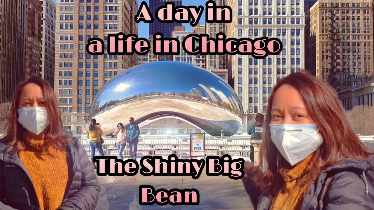 The  Big Shiny Bean in  Chicago!