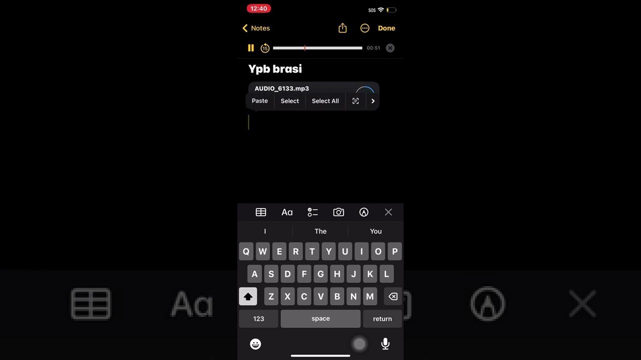 Ypb Brasi unreleased 🥷🏽