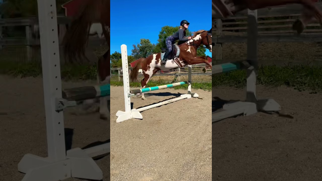 Jumping My Paint Horse|First Time Over 2ft