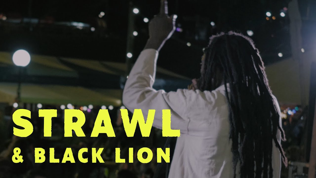 STRAWL & BLACK LION - AFRICAN GLORY [DE KAAIJ 2017]