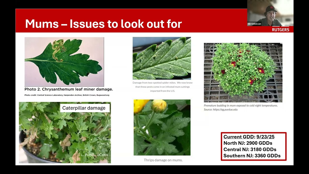 Rutgers Nursery IPM Webinar   September 23, 2025