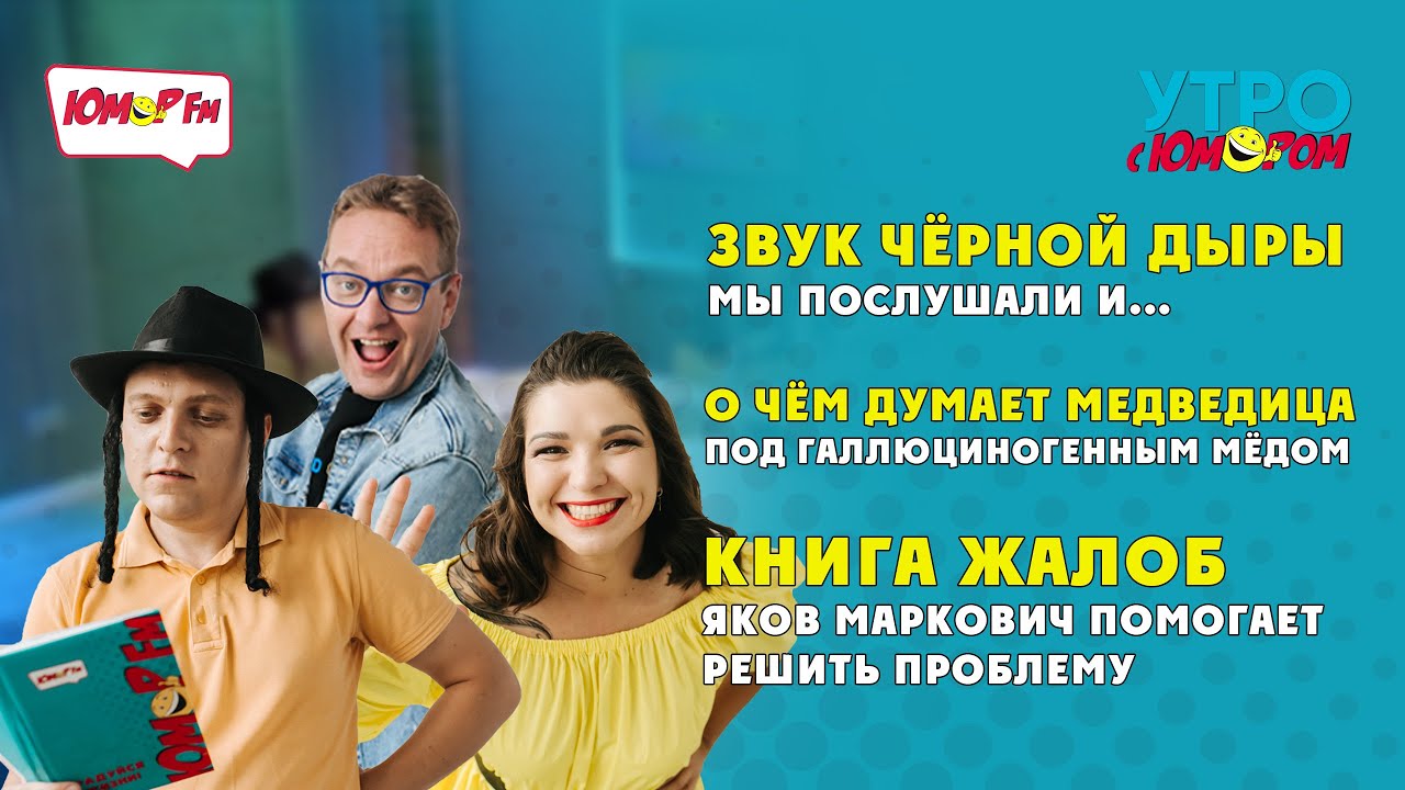 🔊 Звук чёрной дыры и 🍯 мысли медведицы под галлюциногенным мёдом