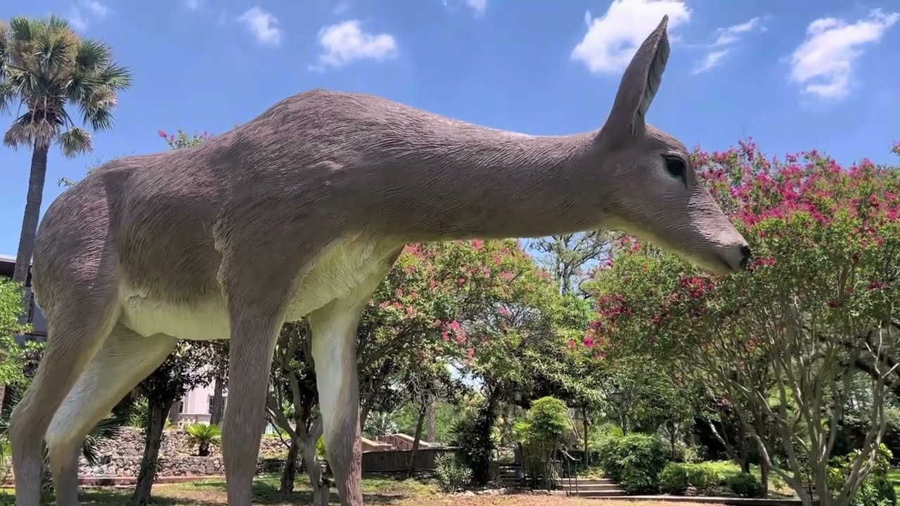 MCNAY ART MUSEUM SAN ANTONIO