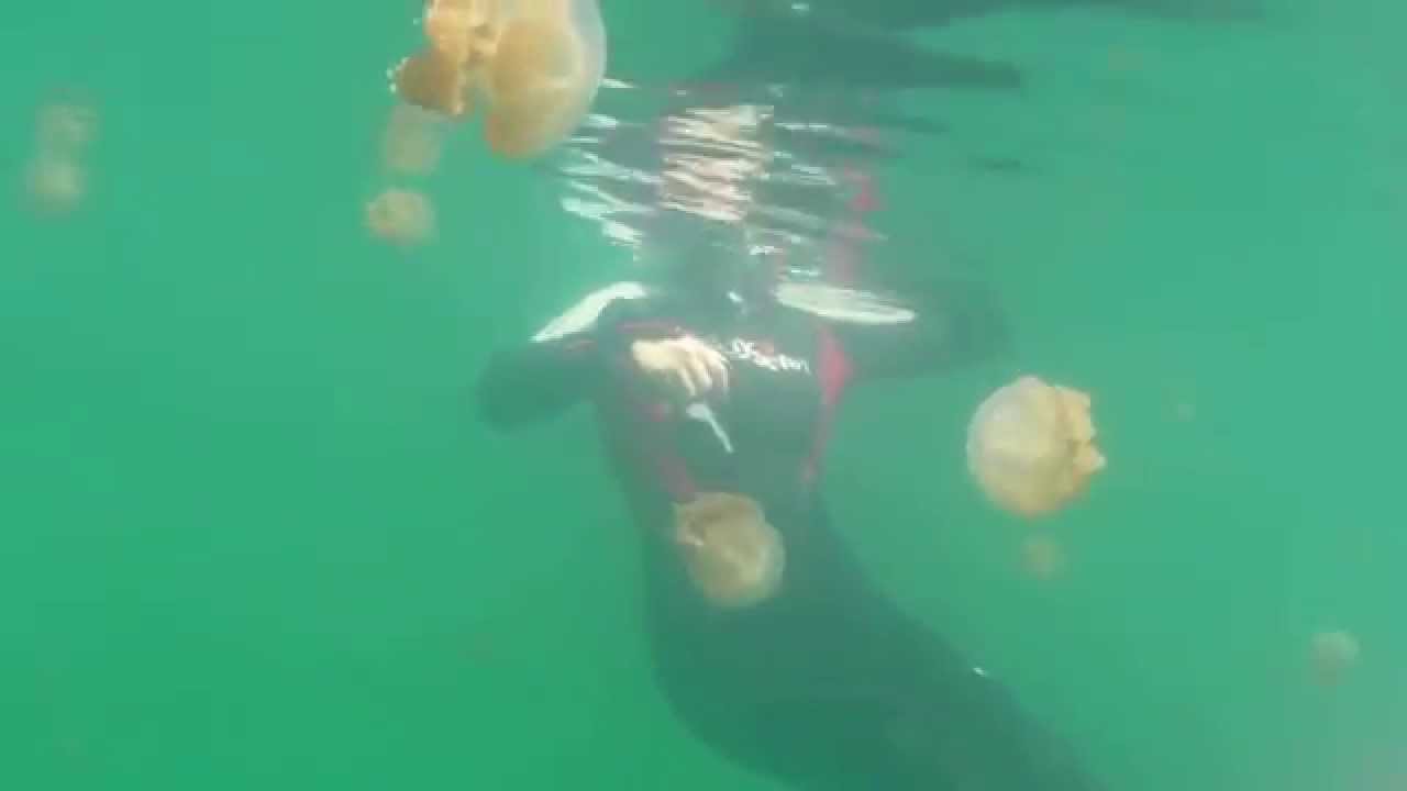 Nabucco Island Part 2