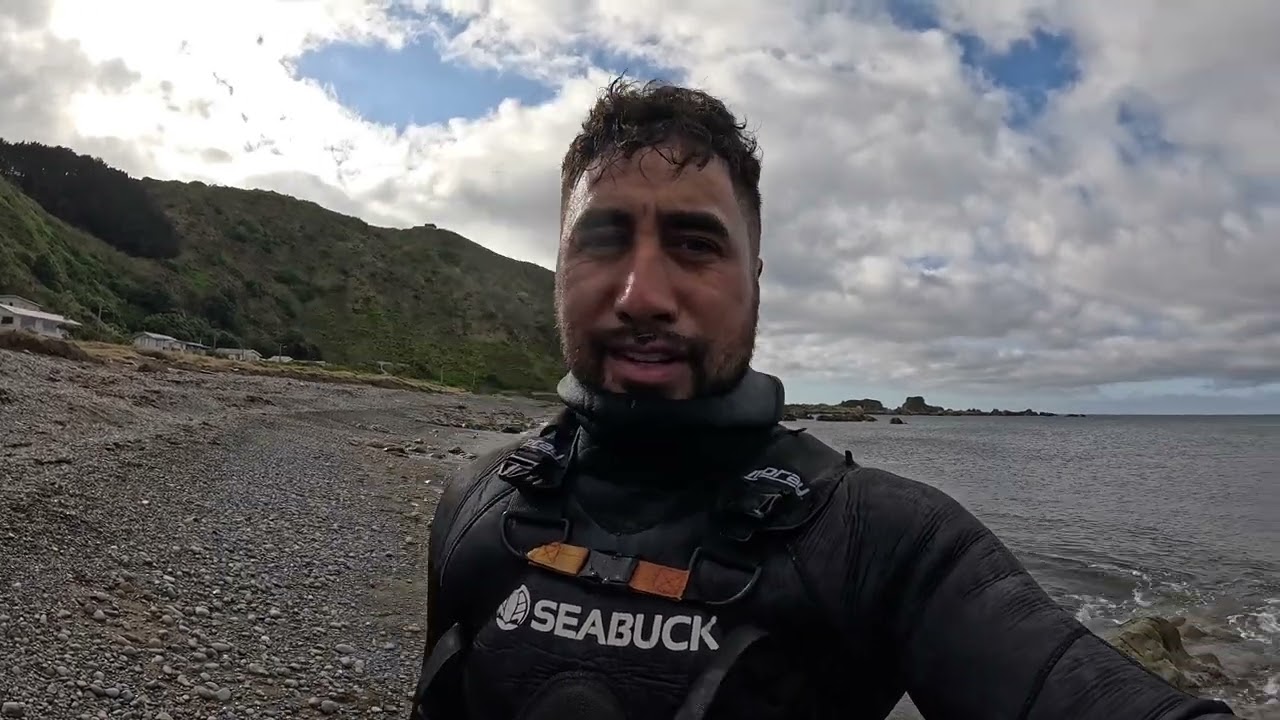 QUICKEST DIVE EVER. Xmas kaimoana sorted. South coast Wellington