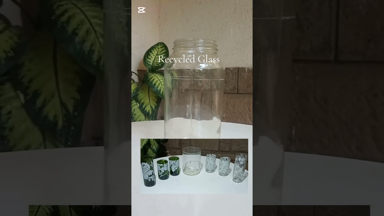 Recycled bottles glass and flower vases. 