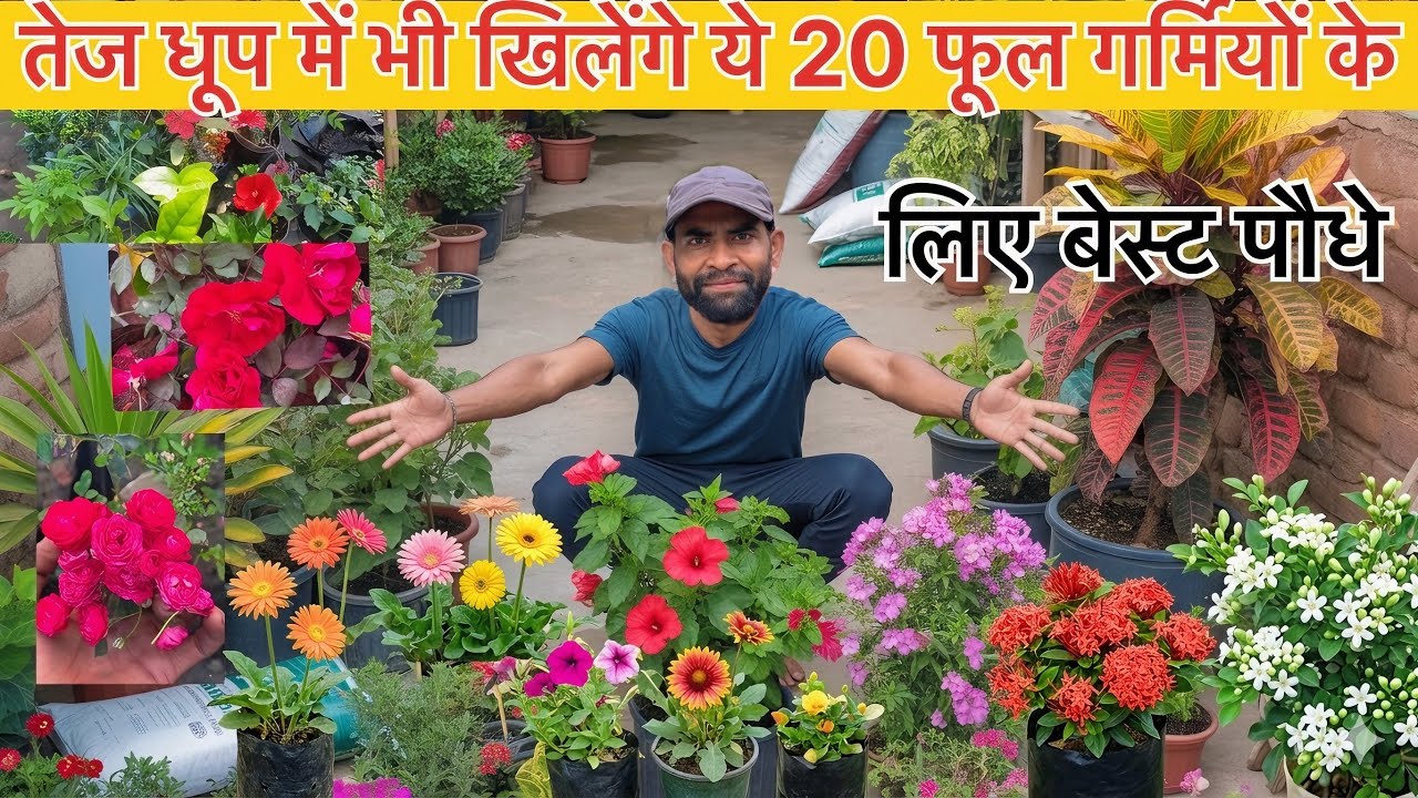 तेज धूप में भी खिलेंगे ये 20 फूल | Summer Flower Plants for Terrace Garden