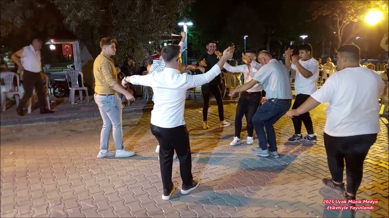 Ahmet Baltak Çiçekdağı yabandan gel Selver