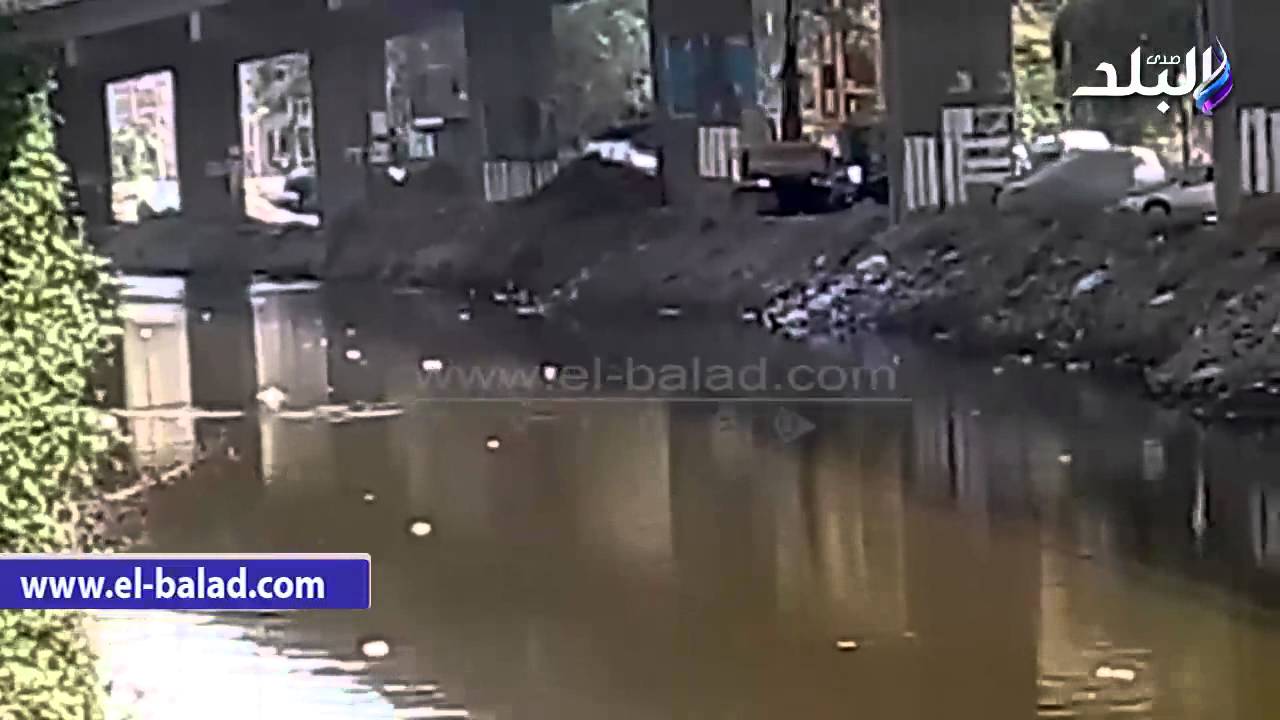 مواطن يسبح فى ترعة 