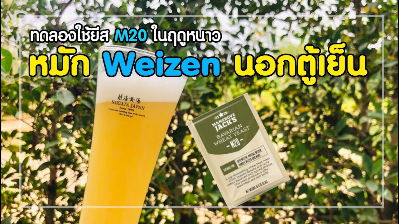 หมักเบียร์ Weizen นอกตู้เย็นในฤดูหนาว ทำได้ไหม?