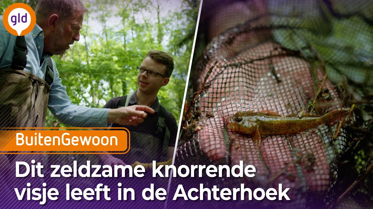 BuitenGewoon - De Achterhoek