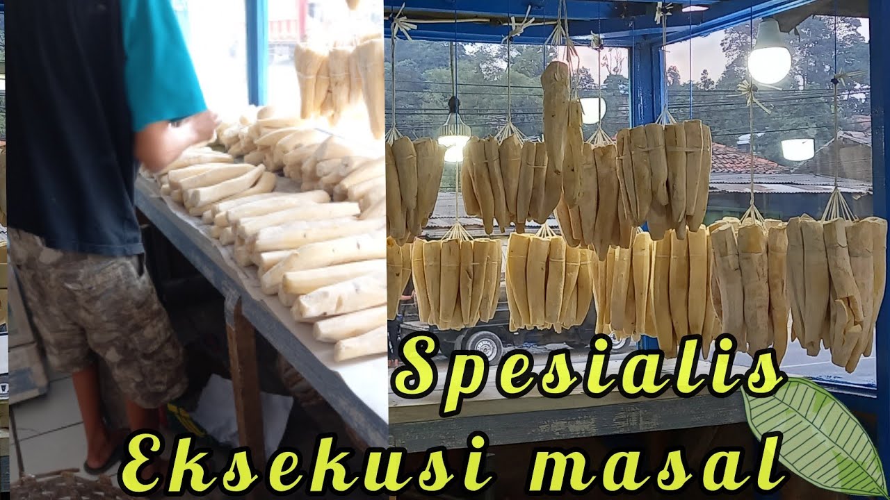 peyeum bandung  tips mengikat tape singkong  dari awal sampe ahir 18521