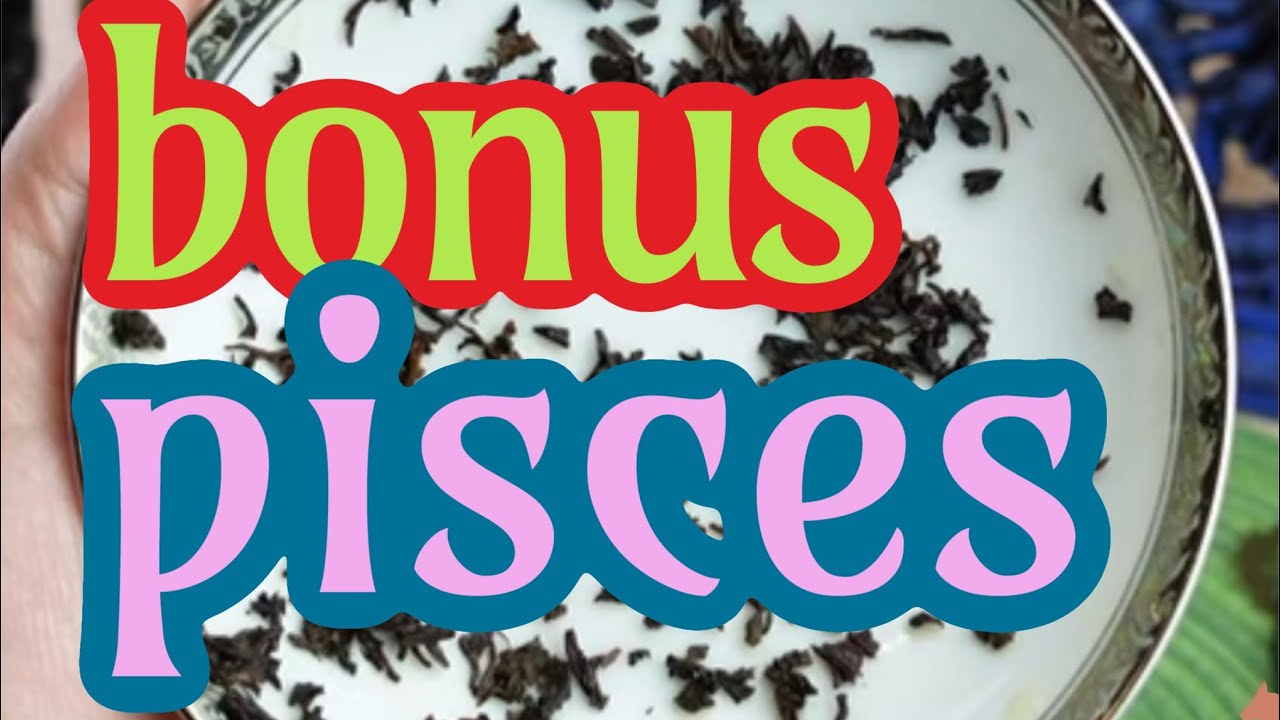 PISCES: THE NEWS YOU’VE BEEN HOPING FOR! ✨ IS THIS FATE? ✨ // tea leaf reading horoscope ASMR