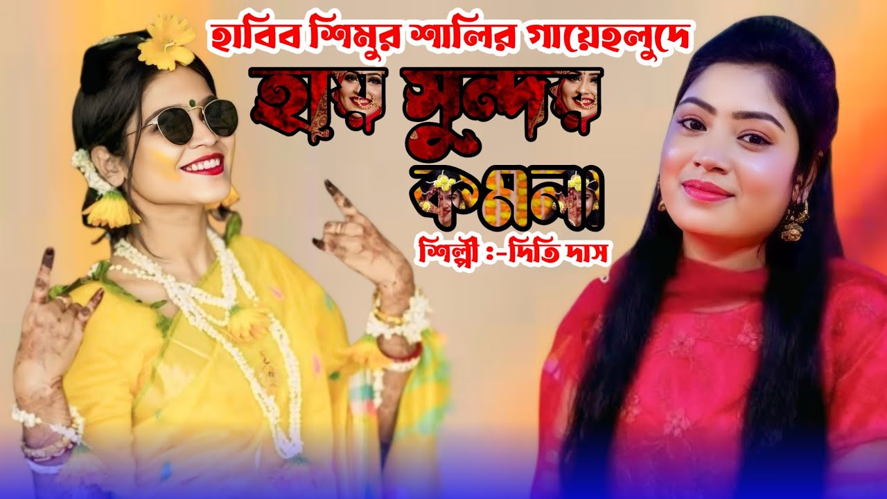 হাবিব শিমুর শালির গায়েহলুদে। হায় সুন্দর কমলা।দিতি দাস।JM Gallery