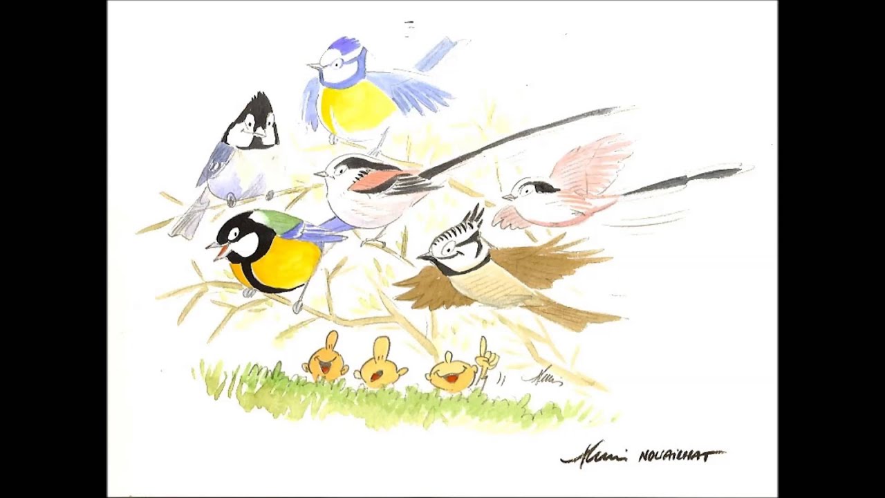 RECONNAITRE LES CHANTS D'OISEAUX : Exercice N°2