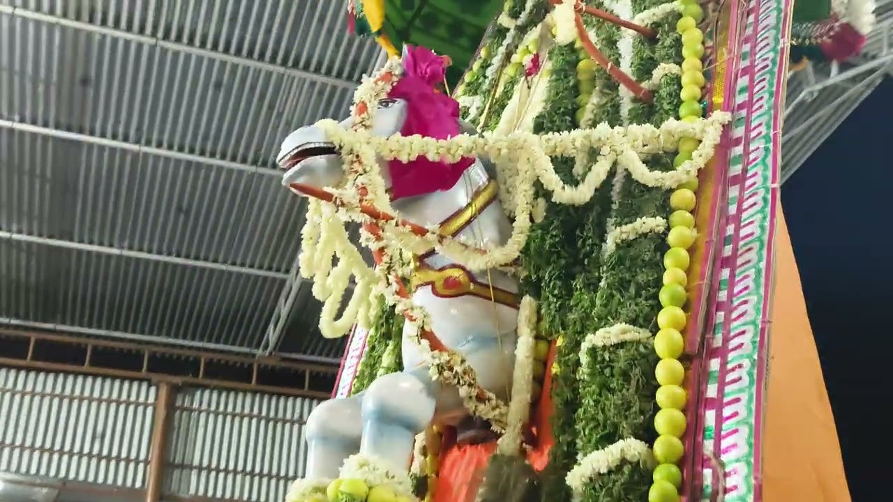 குதிரை வாகனத்தில் அய்யா பவனி வரார் 