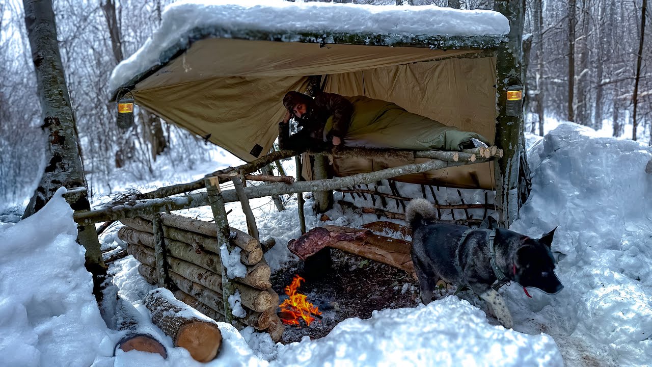 3-дневный ЗИМНИЙ КЕМПИНГ в Blizzard с моей собакой.  -12° ВЫЖИВАНИЕ В ДИКОЙ глуши. Метель Бушкрафт