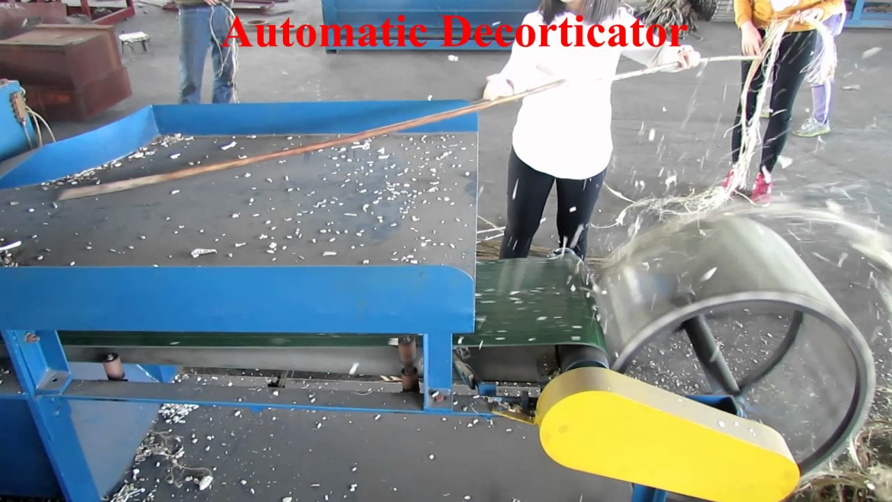 The production line for fiber decorticator and fiber cleaning -hemp jute ramie