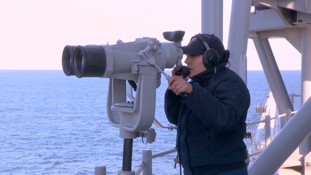 Aerial Monitoring of Protected Marine Species