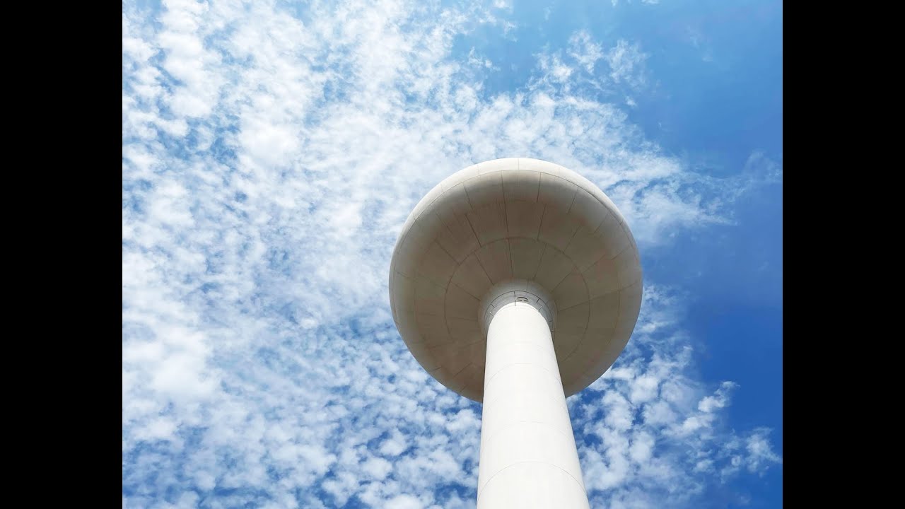 Le Champignon Blanc - Une performance de Rita Hoofwijk