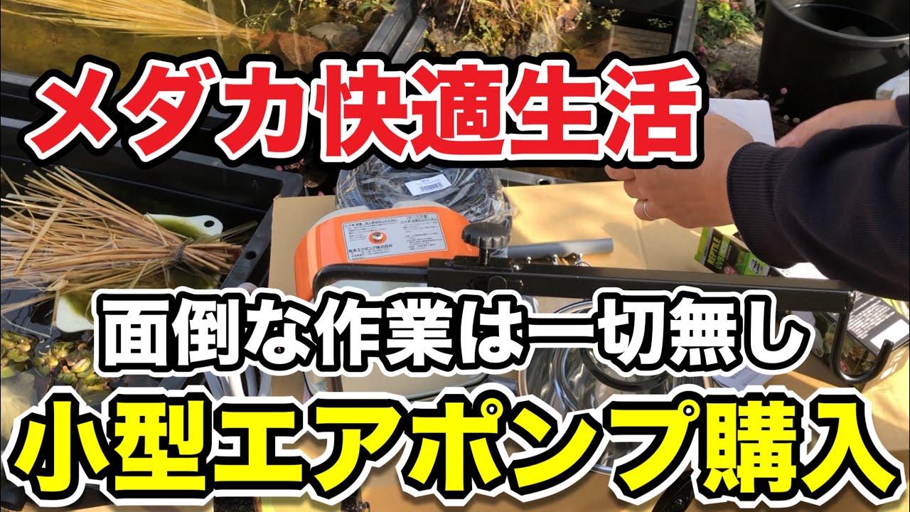 【メダカ初心者】面倒な作業は一切無し！繋ぐだけ小型エアポンプでメダカ快適生活を実現