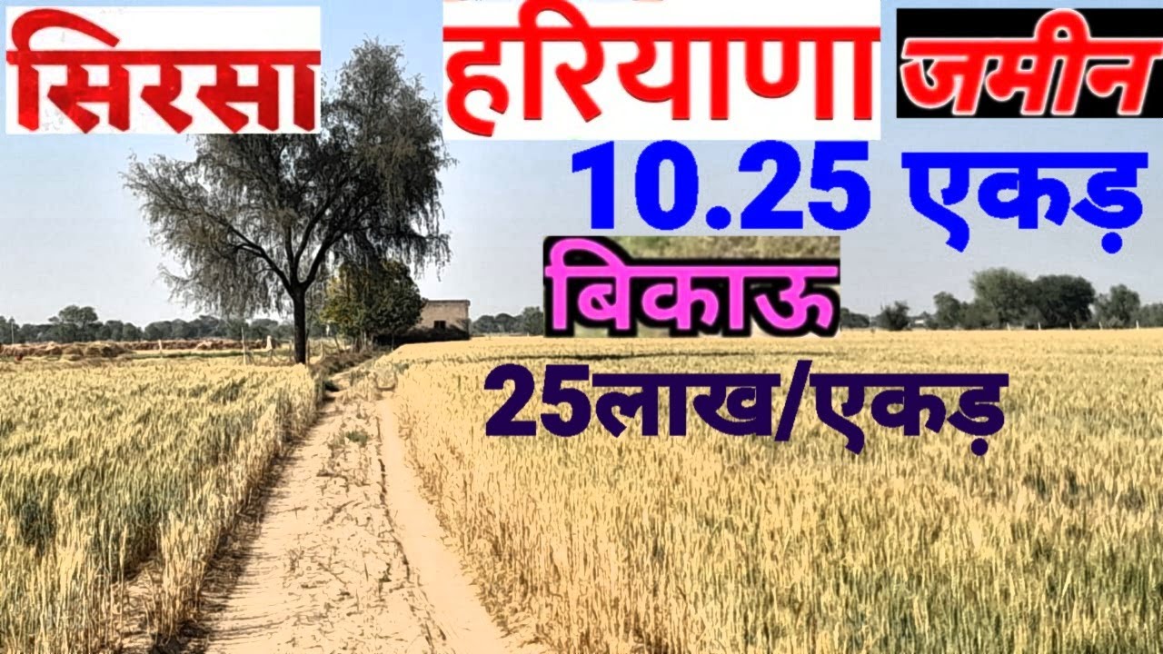 सिरसा हरियाणा जमीन बिकाऊ/Sirsa Haryana land for sale