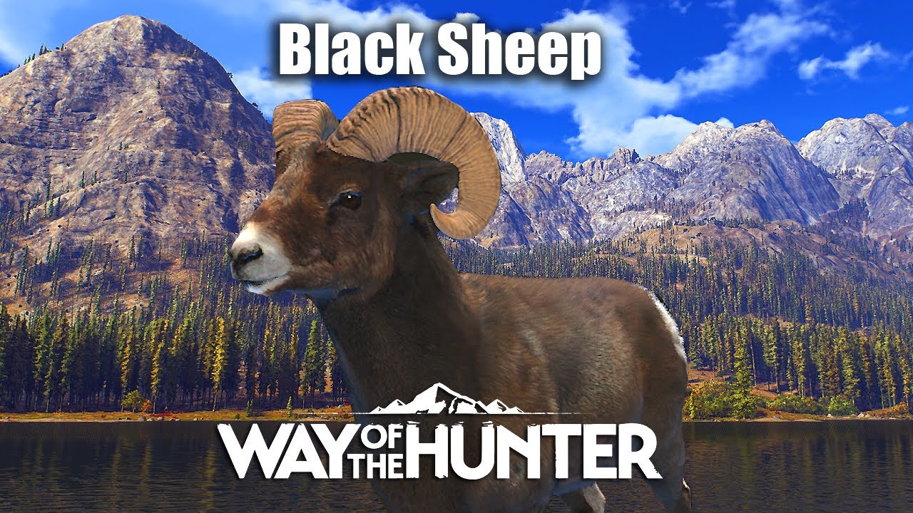 Way Of The Hunter - Black Sheep Mission