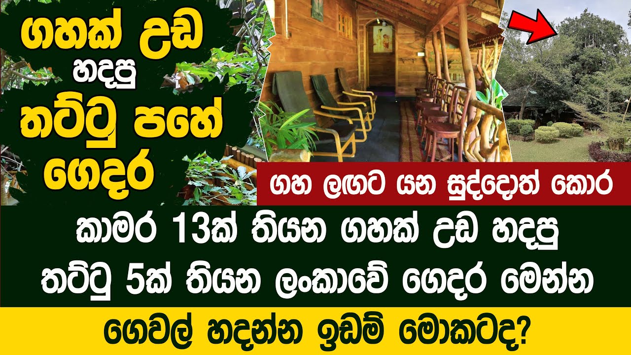 ගහක් උඩ තට්ටු 5හේ ගෙයක් හදපු ලංකාවේ වැඩ්ඩා | Tree House - Sri Lanka