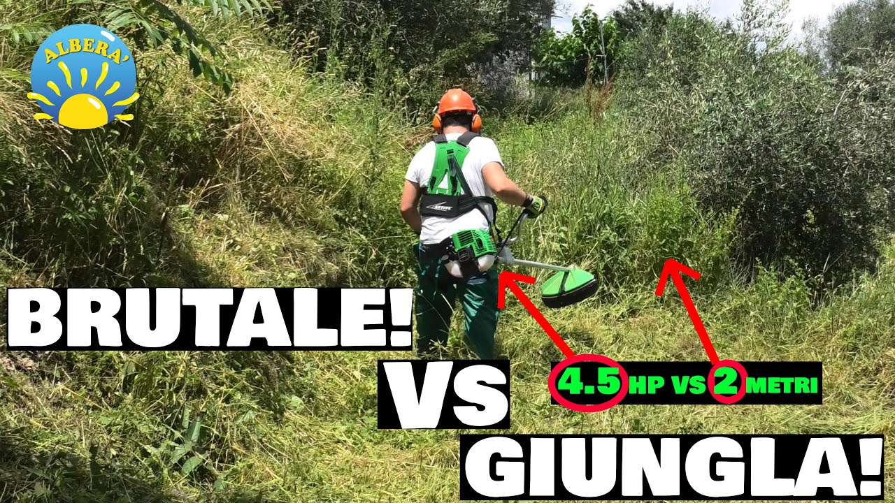 BRUTALE! 6.5 ( SFIDO L'ERBA più ASSURDA col DECESPUGLIATORE + POTENTE 4,5HP vs ERBA ALTA e FITTA)