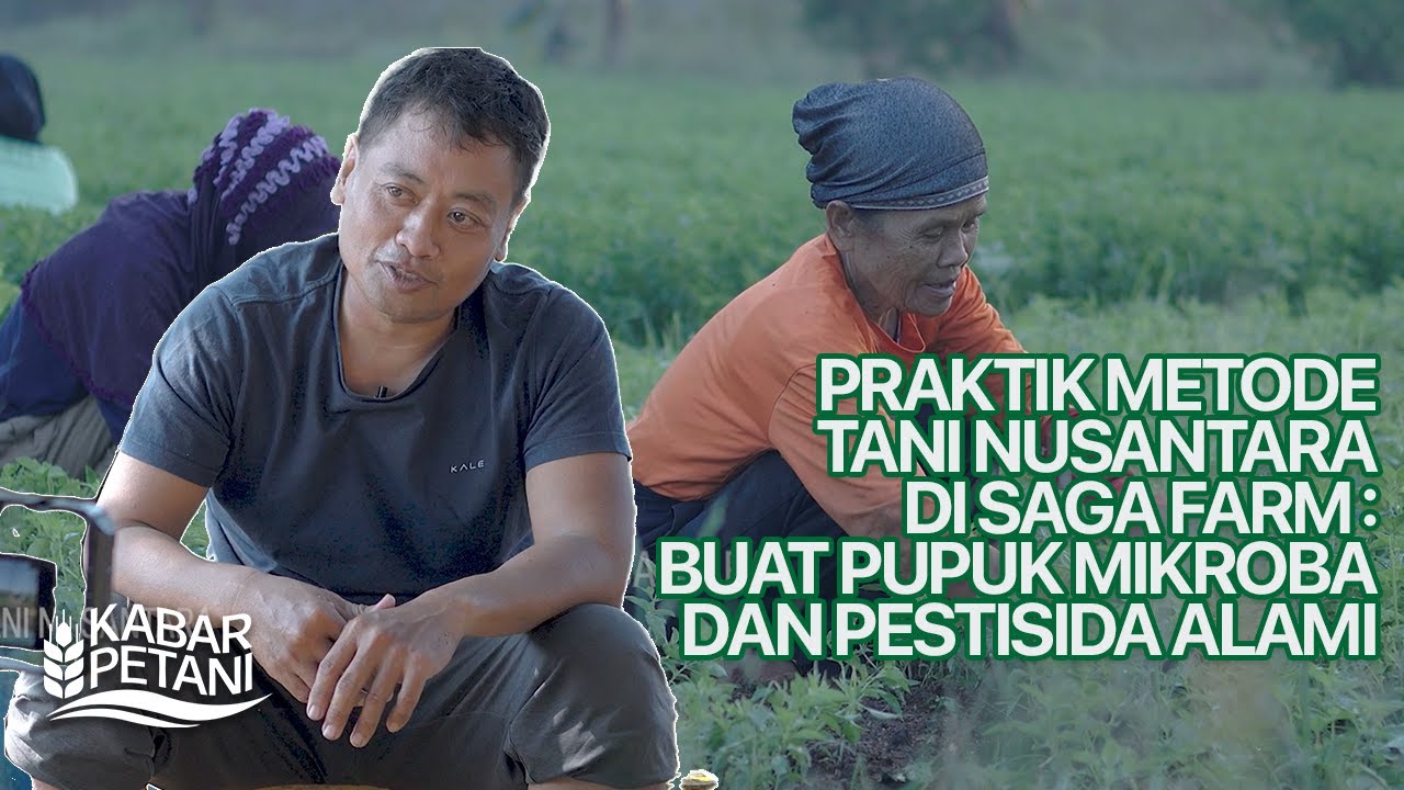 RAHASIA SAGA FARM! CARA MEMBUAT PUPUK DAN PESTISIDA ALAMI SENDIRI