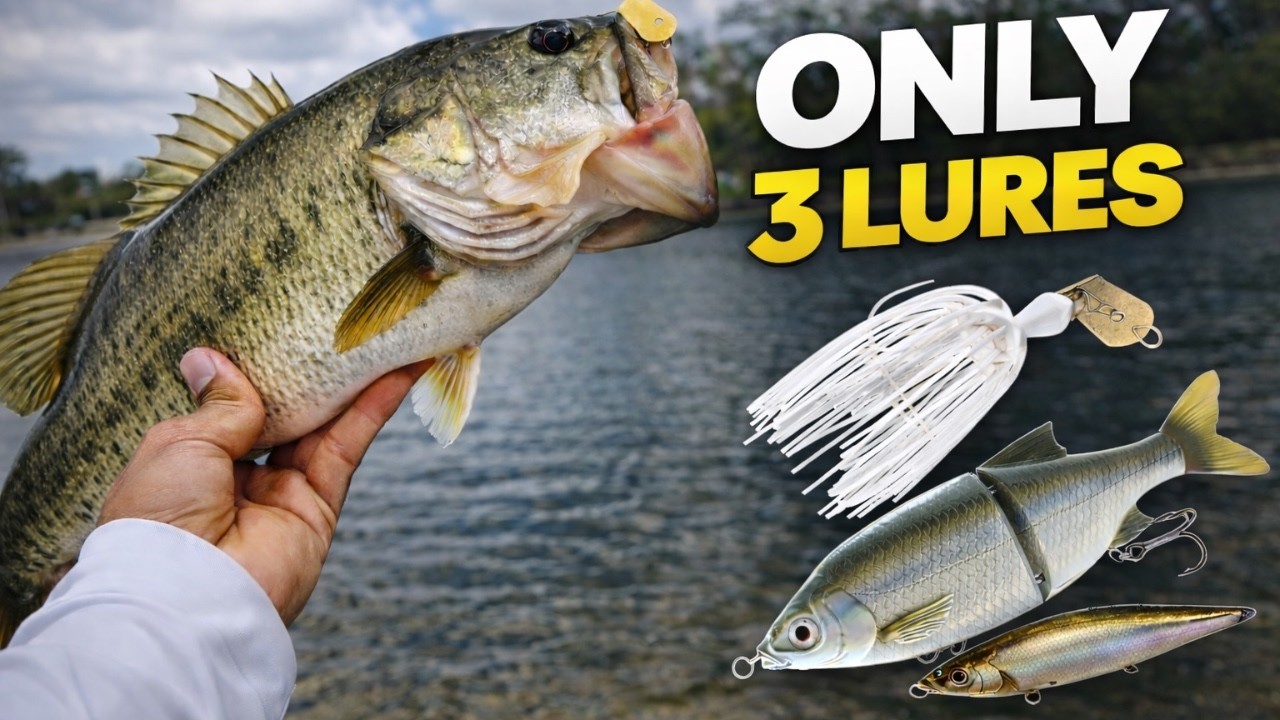 3 Lures. That’s It.