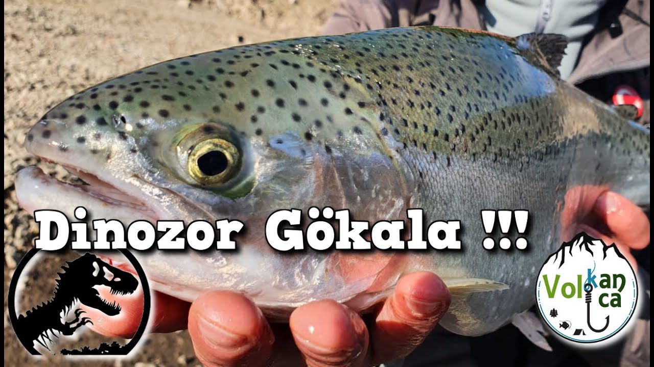 Dinozor Gökala Yakalandı - Güzelliğine Hayran Olacaksınız! / Giant Rainbow Trout