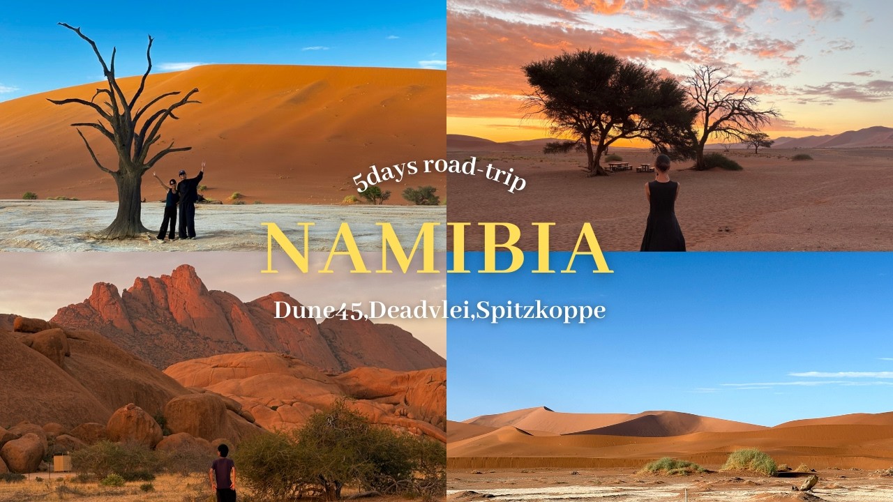 ナミビアvlog｜絶景だらけのロードトリップ🇳🇦｜Dune45｜デッドブレイ｜シュピッツコッペ｜backpacker couple in Namibia