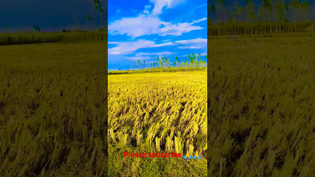 Farmer Suicide song 2021 new Farmer Life
