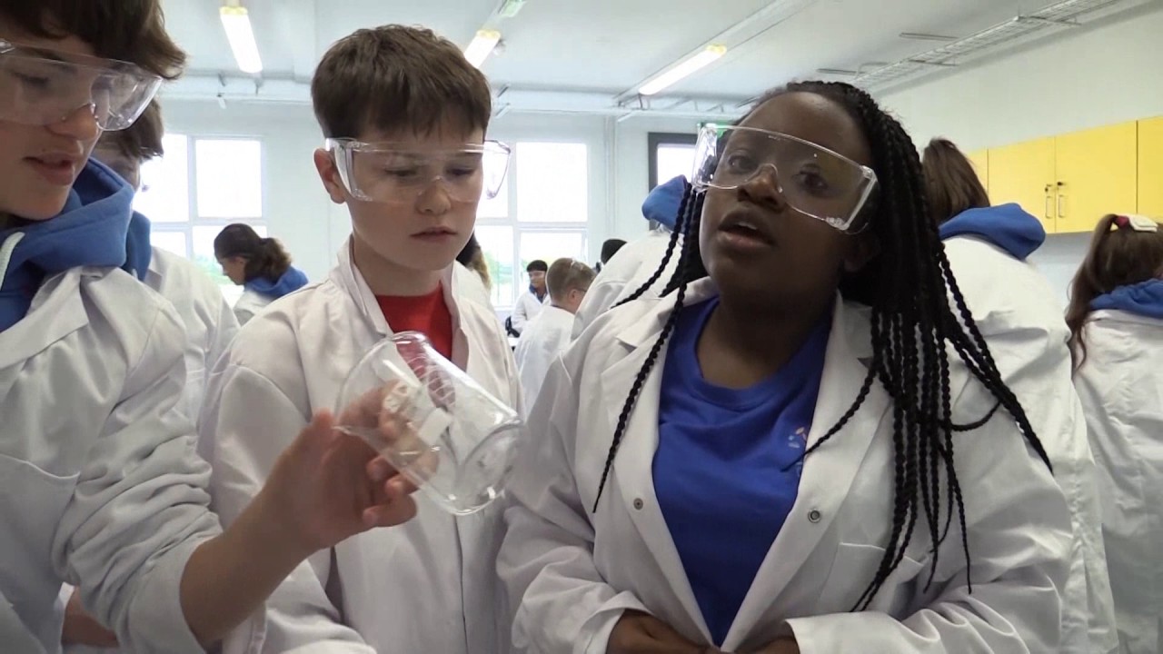 Formative Assessment in a Science Classroom