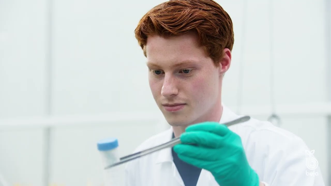 Bejo, engagé dans l’innovation en recherche et sélection variétale