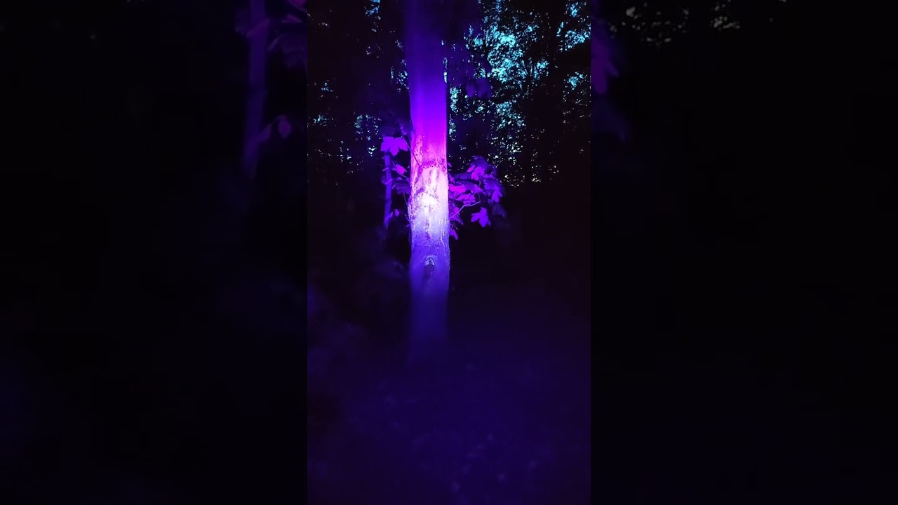 Die Frauenstimme an der Kapelle in der Nacht