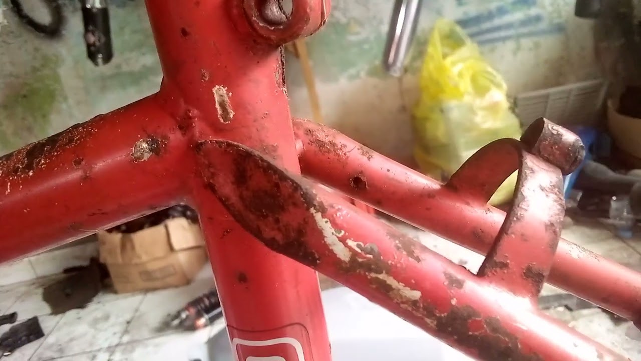 tutorial ciri frame federal citycat mg 40 dan mengenali lebih detail